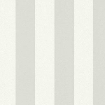 Tapete Grau, Silber, Weiß AS-Creation Vliestapete (1037580)