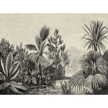 Digitaldruck-Tapete Botanic & Jungle livingwalls (1039864)