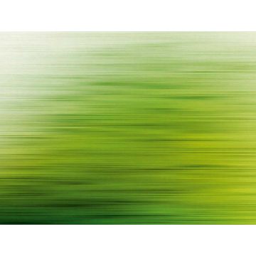Digitaldruck-Tapete Eye Catcher livingwalls (1039889)