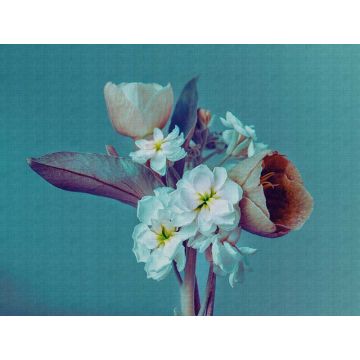 Digitaldruck-Tapete Flowers livingwalls (1039896)