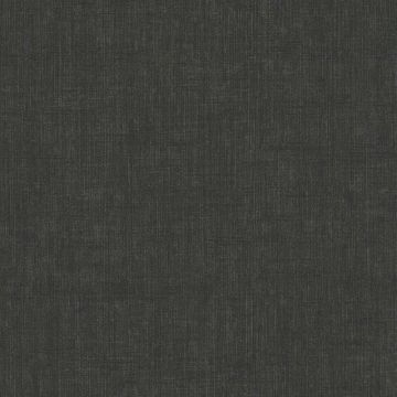 Tapete Schwarz, Anthrazit AS-Creation Vliestapete (1039388)