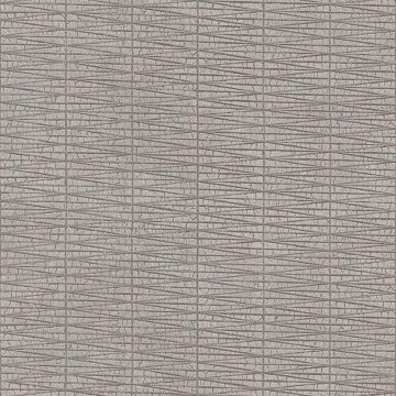 385976_6