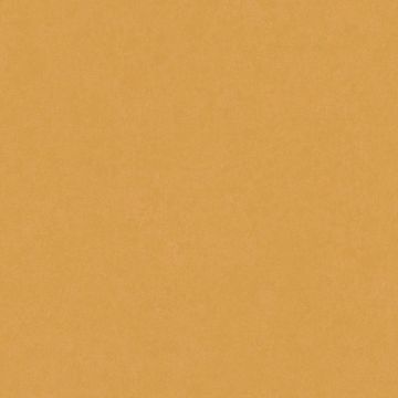 Tapete Orange, Terrakotta AS-Creation Vliestapete (1039395)