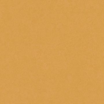 386071_5
