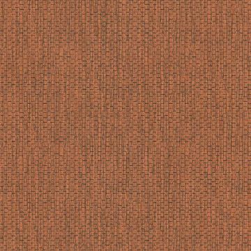386127_5