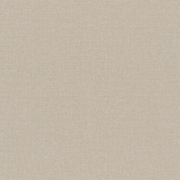 387444_6