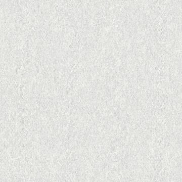 390301_1_1