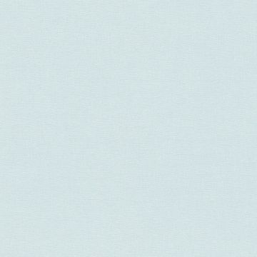 390875_4_1