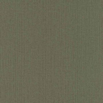 407945_600_0_1