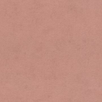408157_530_0