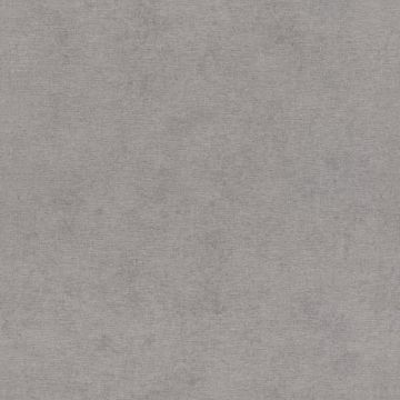 Tapete Grau, Silber Rasch Vliestapete (1035149)