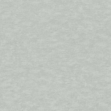 Tapete Grau, Silber Rasch Vliestapete (1035181)