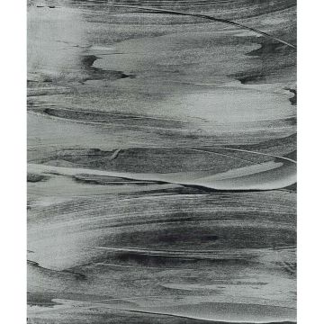Digitaldruck-Tapete Grau, Silber, Schwarz, Anthrazit Rasch (1030060)