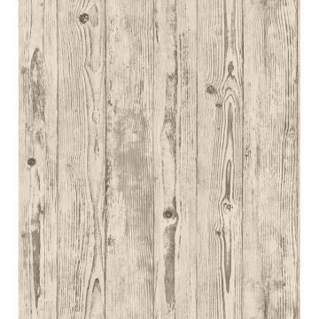 Tapete Beige, Creme Rasch Vliestapete (1030099)
