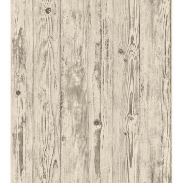 Tapete Beige, Creme Rasch Vliestapete (1030099)