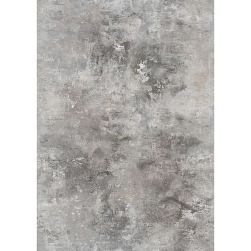 Digitaldruck-Tapete Grau, Silber Rasch (1043153)