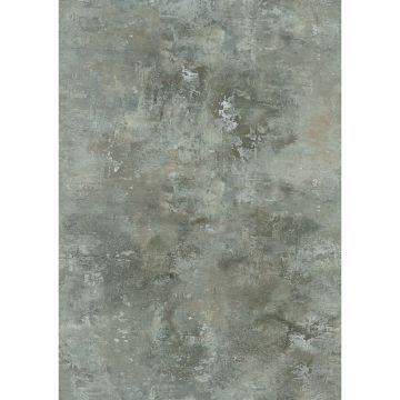 Digitaldruck-Tapete Grau, Silber Rasch (1043154)