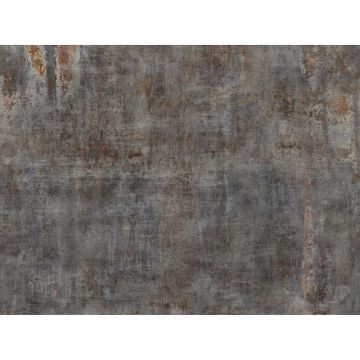 Digitaldruck-Tapete Grau, Silber Rasch (1043160)