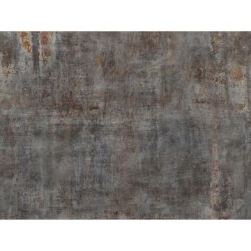 Digitaldruck-Tapete Grau, Silber Rasch (1043160)