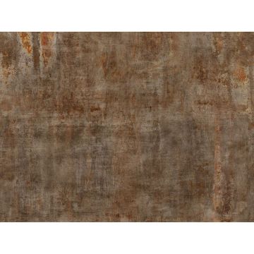 Digitaldruck-Tapete Braun Rasch (1043161)