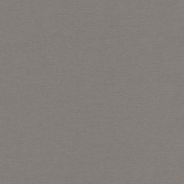 448627 Florentine 2017 Rasch Vliestapete
