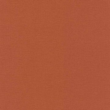 Tapete Orange, Terrakotta Rasch Vliestapete (1036440)