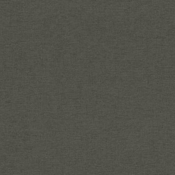 449853_530_0_2
