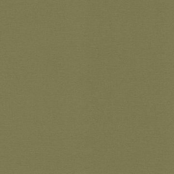 452068_1w_1
