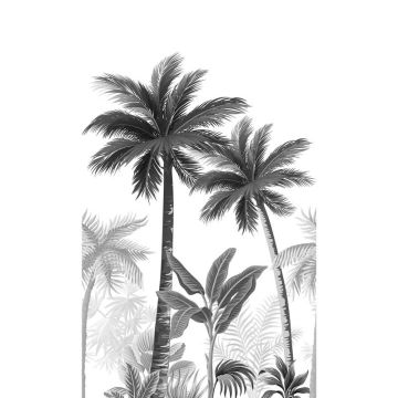 Digitaldruck-Tapete Tropical Vibes Marburg (1034734)
