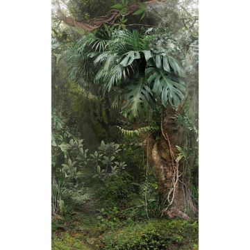Digitaldruck-Tapete Tropical Vibes Marburg (1034738)