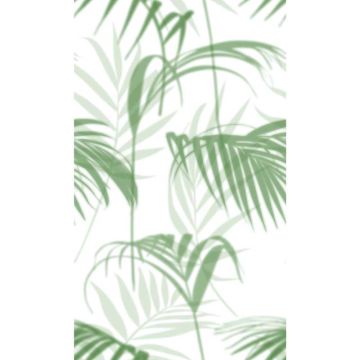 Digitaldruck-Tapete Tropical Vibes Marburg (1034739)