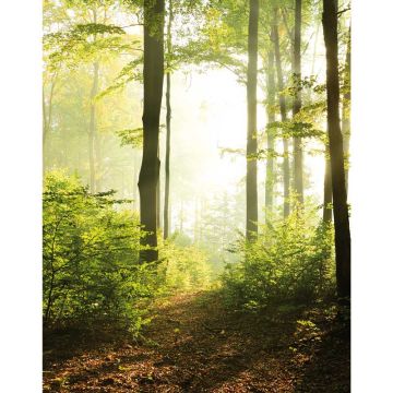 Digitaldruck-Tapete Natural Style Marburg (1034751)