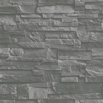 475029_527_2