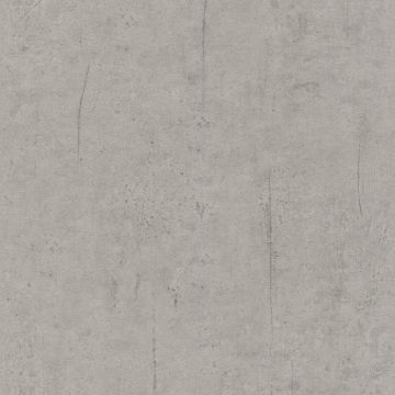 475302_641_2