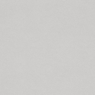 Tapete Grau, Silber Rasch Vinyltapete (KG-175566)