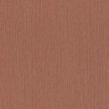 Tapete Braun Rasch Vliestapete (1039047)