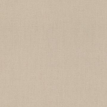 Tapete Beige, Creme Rasch Vliestapete (1039056)