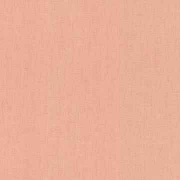 Tapete Rosa, Rose Rasch Vliestapete (1039057)