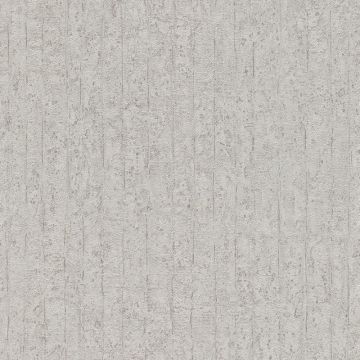 Tapete Grau, Silber Rasch Vliestapete (1043174)