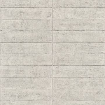 499636_530_0_4