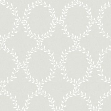 503-41-wilma-product