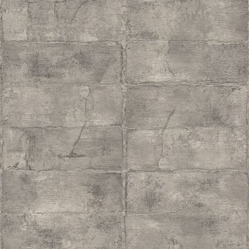 Tapete Grau, Silber Rasch Vliestapete (1040346)