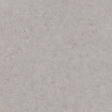 Tapete Grau, Silber Rasch Vliestapete (1040363)