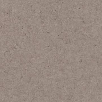 Tapete Braun Rasch Vliestapete (1040364)