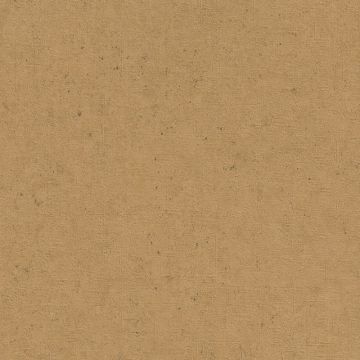 Tapete Braun Rasch Vliestapete (1040366)