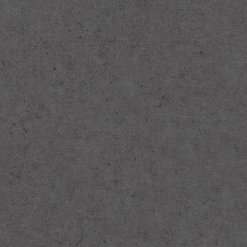 Tapete Schwarz, Anthrazit Rasch Vliestapete (1040367)