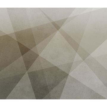 Digitaldruck-Tapete Braun Rasch (1040386)