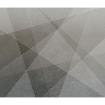 Digitaldruck-Tapete Grau, Silber Rasch (1040387)