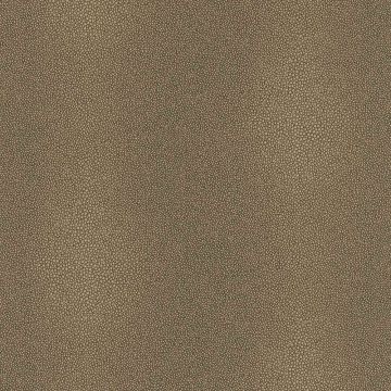 52562_3