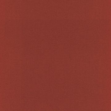 531374_3